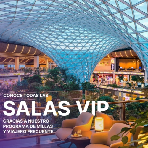 Con nuestro programa de puntos Viajero Frecuente, puedes acumular puntos/millas y ascender en tu membresía, a medida que ganas puntos, obtienes mayores beneficios. 